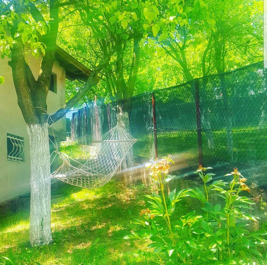 塞拉耶佛Keep Calm Garden别墅 外观 照片